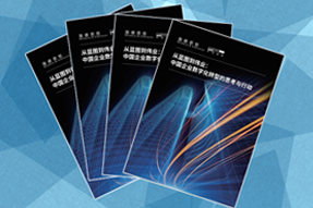 《从蓝图到伟业：中国企业数字化转型的思考与行动》