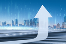 NO钱包官网国际2024上半年营收同比增逾16% ，国内业务成增长亮点