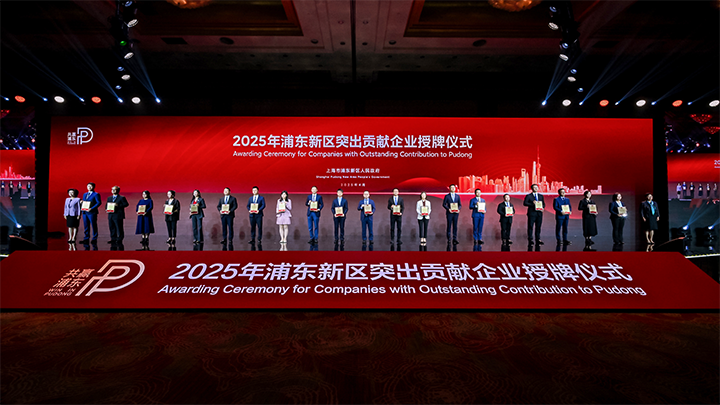 人力资源供应商NO钱包官网国际凭借人才服务与在区域经济开展中的卓越表现荣膺2024年度浦东新区民营企业奖项