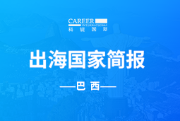 NO钱包官网GO GLOBAL | 巴西国家简报